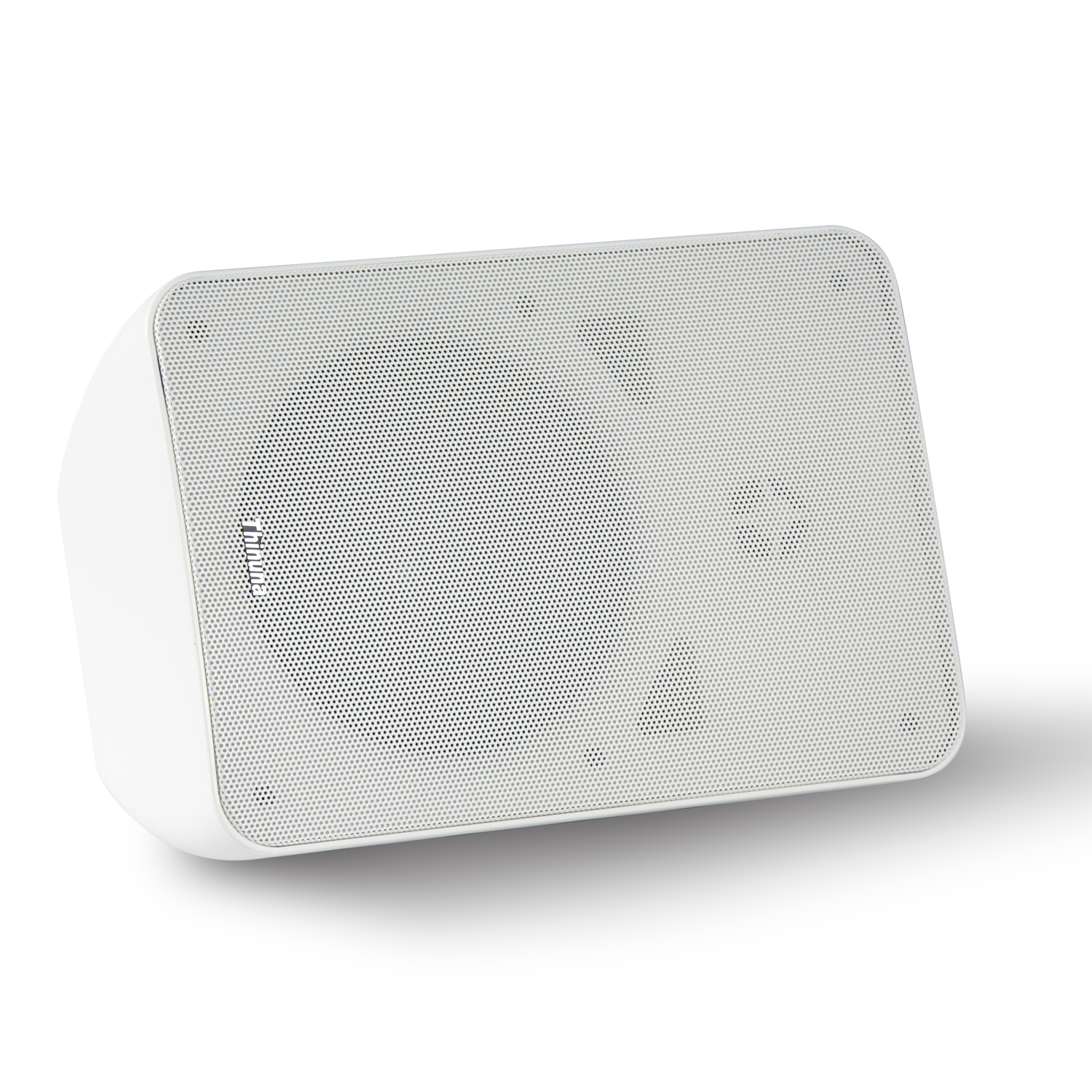 Thinuna IP-40WS III Network Wall-Mounted Speakers